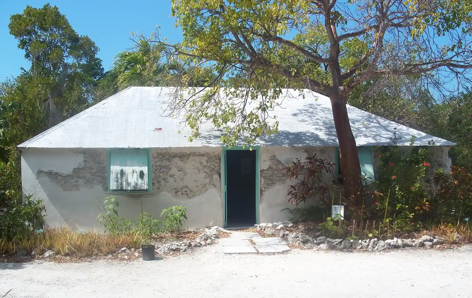 A small, single-storey house with a pale, hipped roof and thick white walls whose stucco has flaked away in patches to show the rough stone underneath. It has an open doorway with green-painted trim, and green wooden storm shutters propped open at the windows. A leafy tree with a reddish trunk leans across the front, with red-flowering shrubs, crotons and young plants in coral-rock-edged beds and a white gravel path in front.
