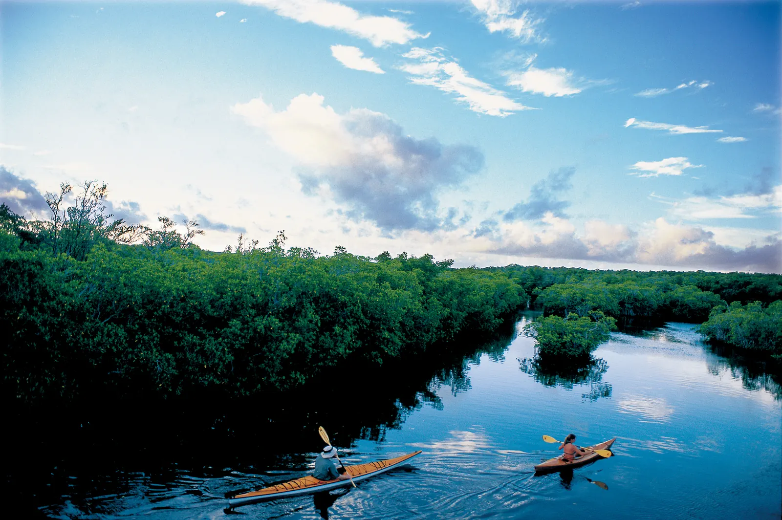 High view down a calm, dark-blue mangrove creek that mirrors the clouds. Dense green mangroves line the left bank and form small islands on the right. Two people paddle long wooden-toned sea kayaks with yellow paddles away from the camera: one in a wide-brimmed hat on the left, a woman with her hair tied back on the right. Above is a bright blue sky with wispy and puffy white clouds.
