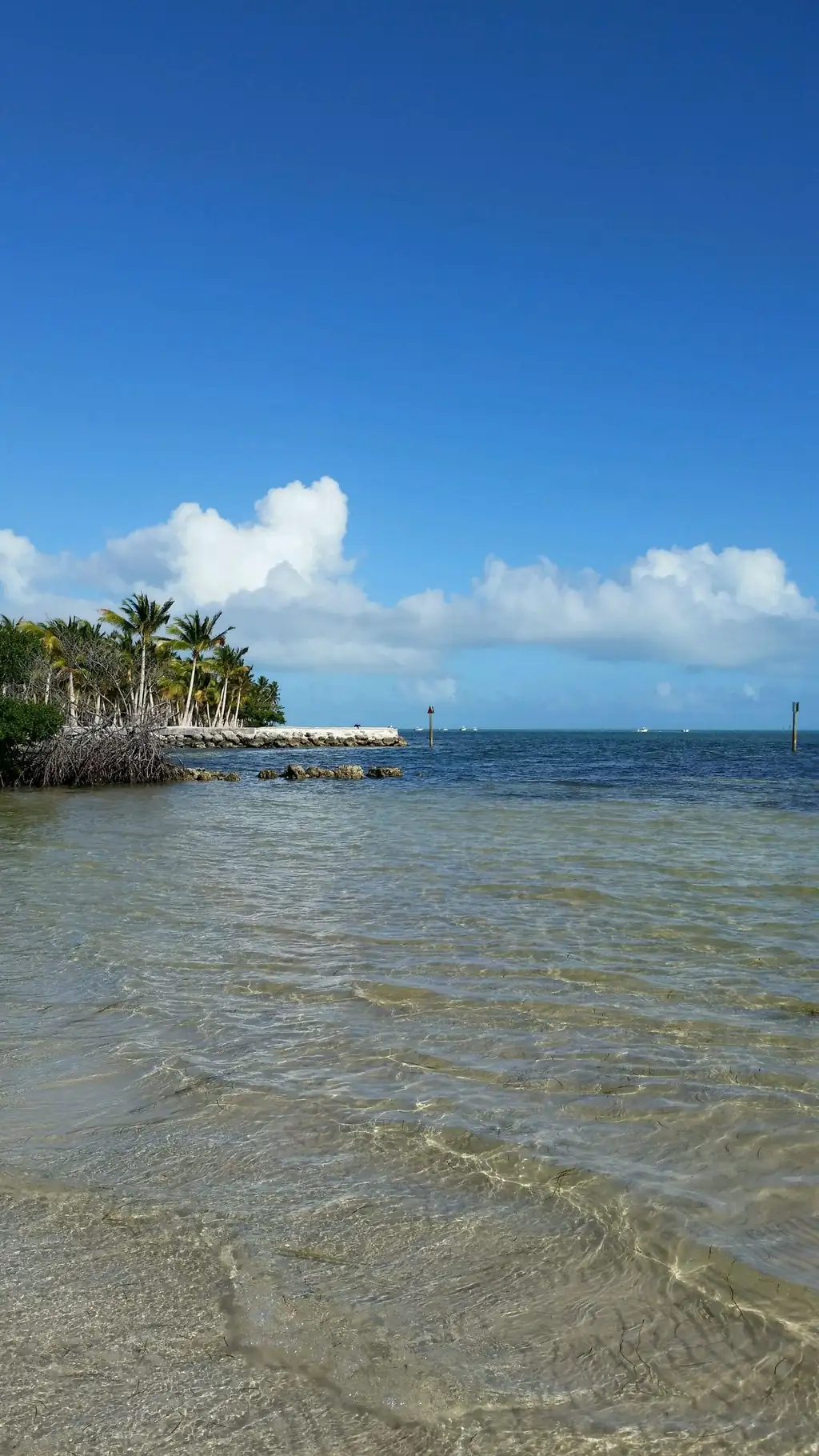 Vertical view across clear, rippled shallow water over a pale sandy bottom, turning deep blue further out. At left, a point of land with tall coconut palms, red-mangrove roots and a white rock revetment runs out into the water; two channel-marker posts stand offshore and several small boats sit on the horizon. The upper half is a clean deep-blue sky with a band of white cumulus.