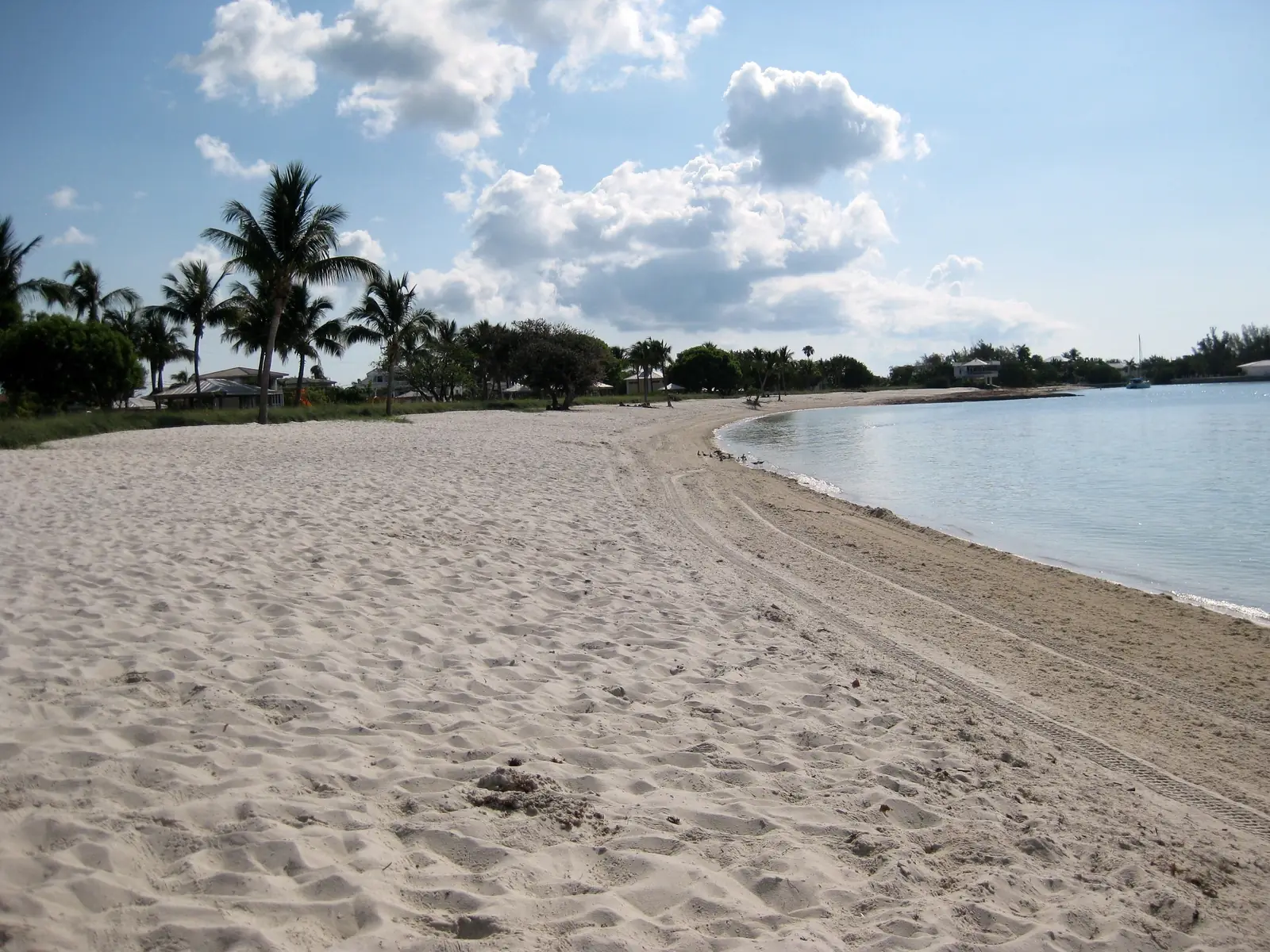 Wide, footprinted white-sand beach curving away to the right along a calm, pale-blue cove. Coconut palms, shade trees and low shelters line the left side; houses, a moored sailboat and more trees sit on the far shore under big white cumulus clouds. A small flock of shorebirds stands at the water's edge and vehicle tracks run along the sand.