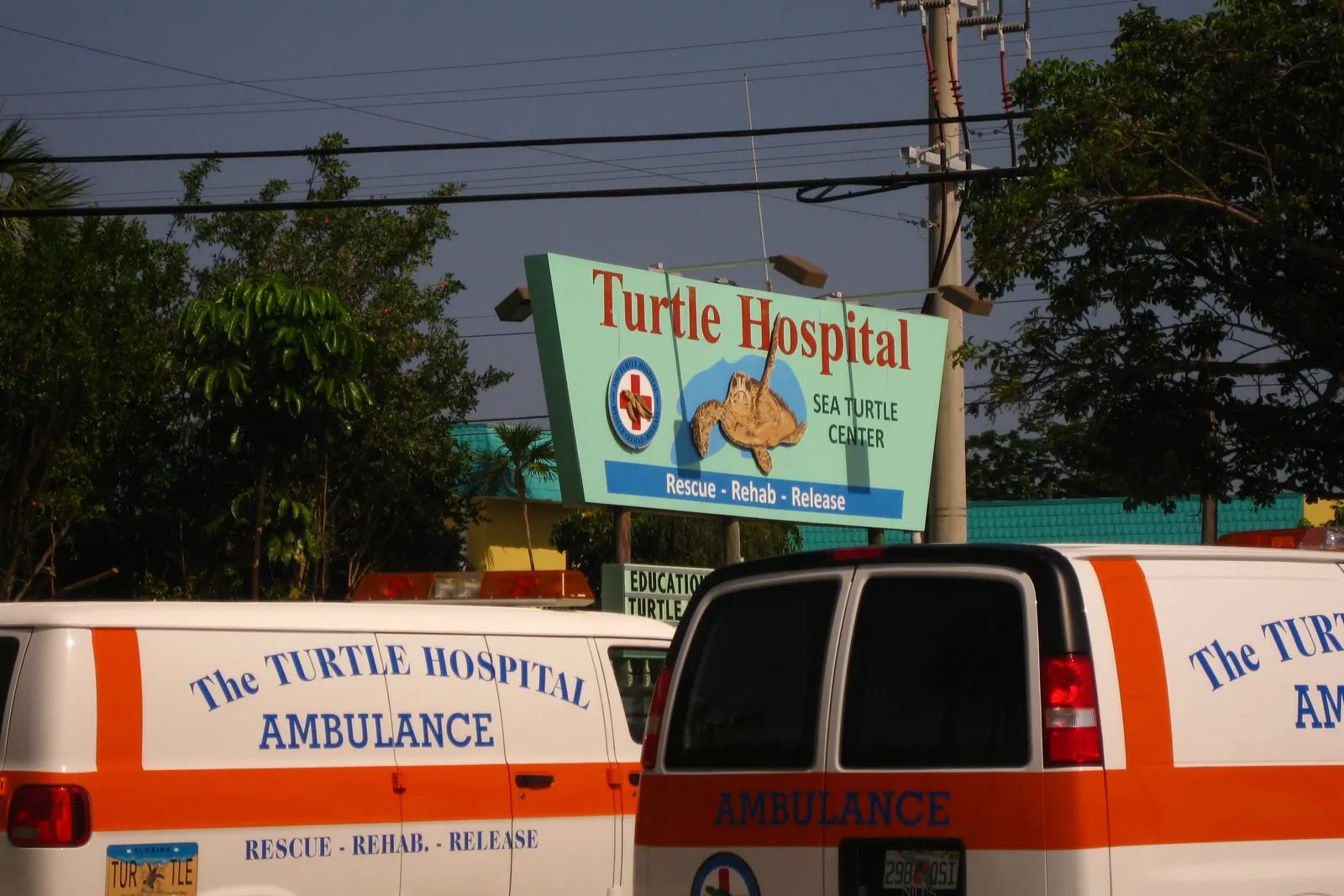 The Turtle Hospital's roadside sign, a mint-green panel reading 'Turtle Hospital' in red, with a carved sea turtle, a red-cross logo, 'Sea Turtle Center' and 'Rescue - Rehab - Release' on a blue band. It stands among trees under overhead power lines against a darkening sky. In the foreground are two white-and-orange vans lettered 'The Turtle Hospital Ambulance', one with a Florida plate reading 'TURTLE'.