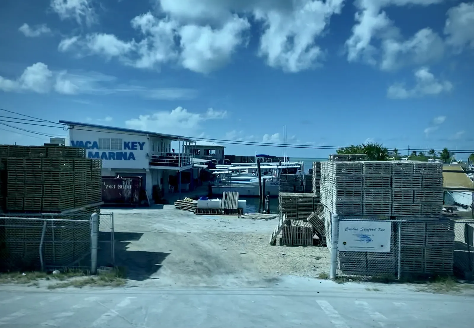 Through a gap in a chain-link fence, a sandy yard leads to the water at Vaca Key Marina: a white two-storey building with 'Vaca Key Marina' in big blue letters, white work boats tied up at the dock and a rusty dumpster. Tall stacks of weathered wooden slatted traps rise on both sides, and a sign on the right fence reads 'Carlos Seafood Inc'. Power lines cross a deep-blue sky with white clouds.